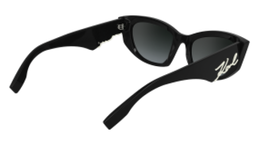 Karl Lagerfeld KL6162S 001