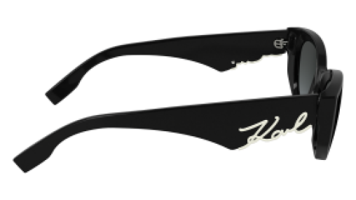 Karl Lagerfeld KL6162S 001
