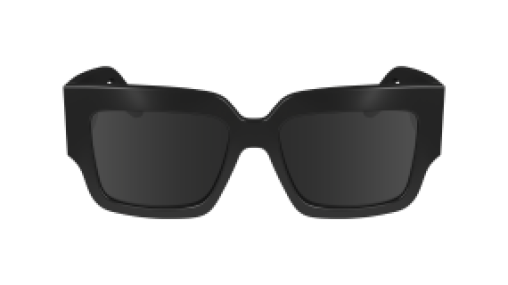 Victoria Beckham VB667S 001