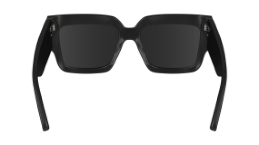 Victoria Beckham VB667S 001