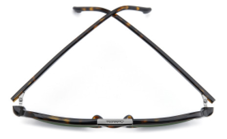 Carrera CA350/S 086 QT