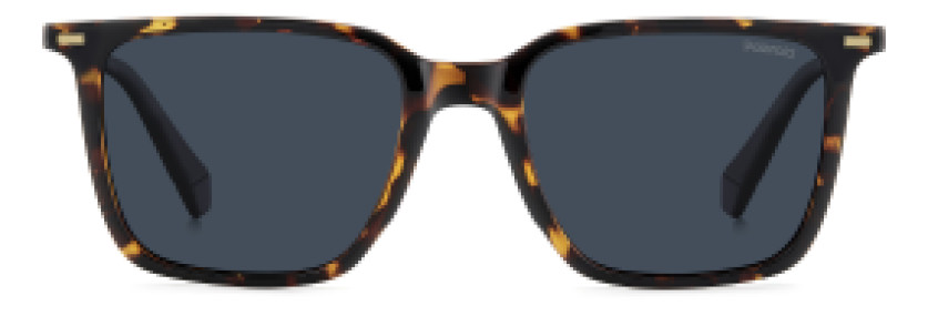 Polaroid PLD4183/S/X 086 C3