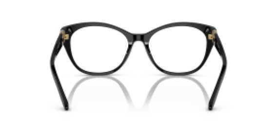 Ralph Lauren RL 6235QU 5001