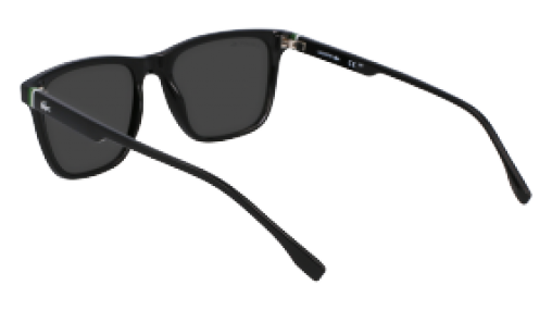 Lacoste L6041S 001
