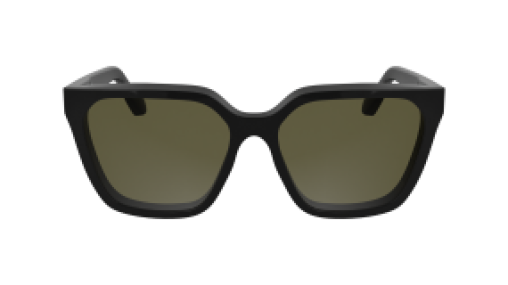 Calvin Klein CK25500S 001