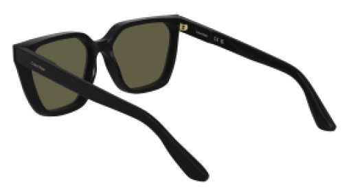 Calvin Klein CK25500S 001