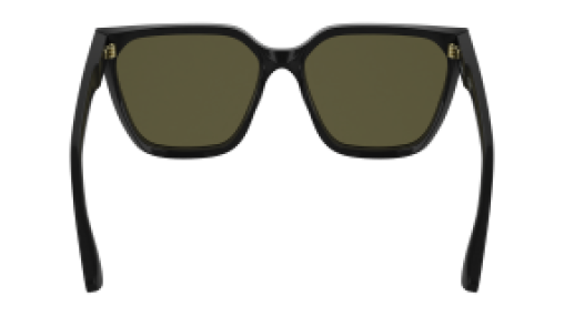 Calvin Klein CK25500S 001