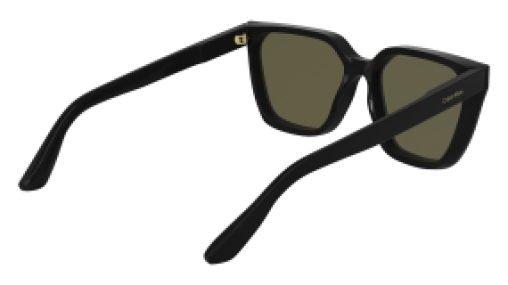 Calvin Klein CK25500S 001