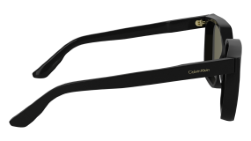 Calvin Klein CK25500S 001