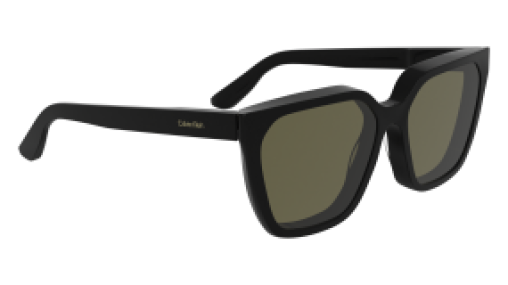 Calvin Klein CK25500S 001