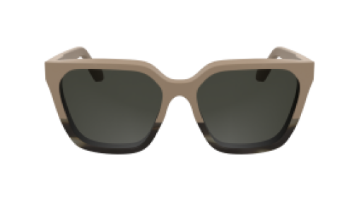 Calvin Klein CK25500S 602