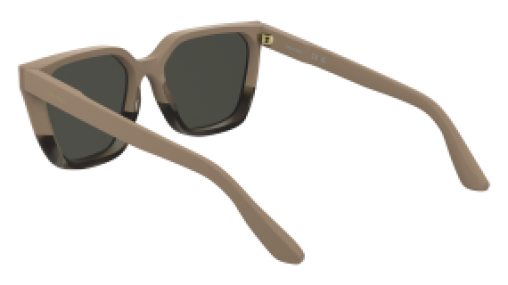 Calvin Klein CK25500S 602