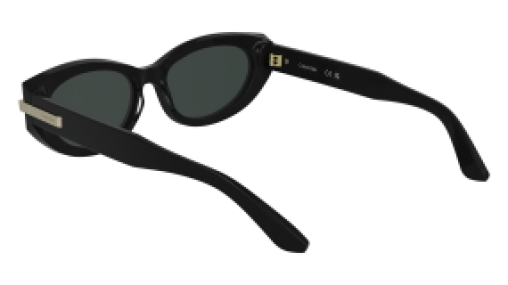 Calvin Klein CK25502S 001
