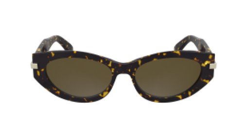 Calvin Klein CK25502S 240