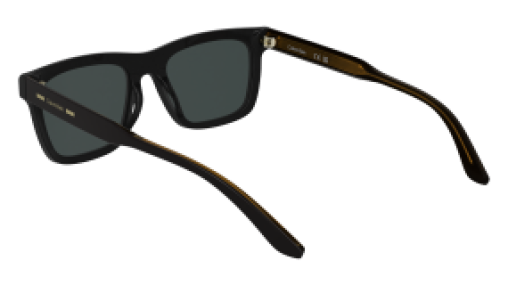 Calvin Klein CK25506S 001