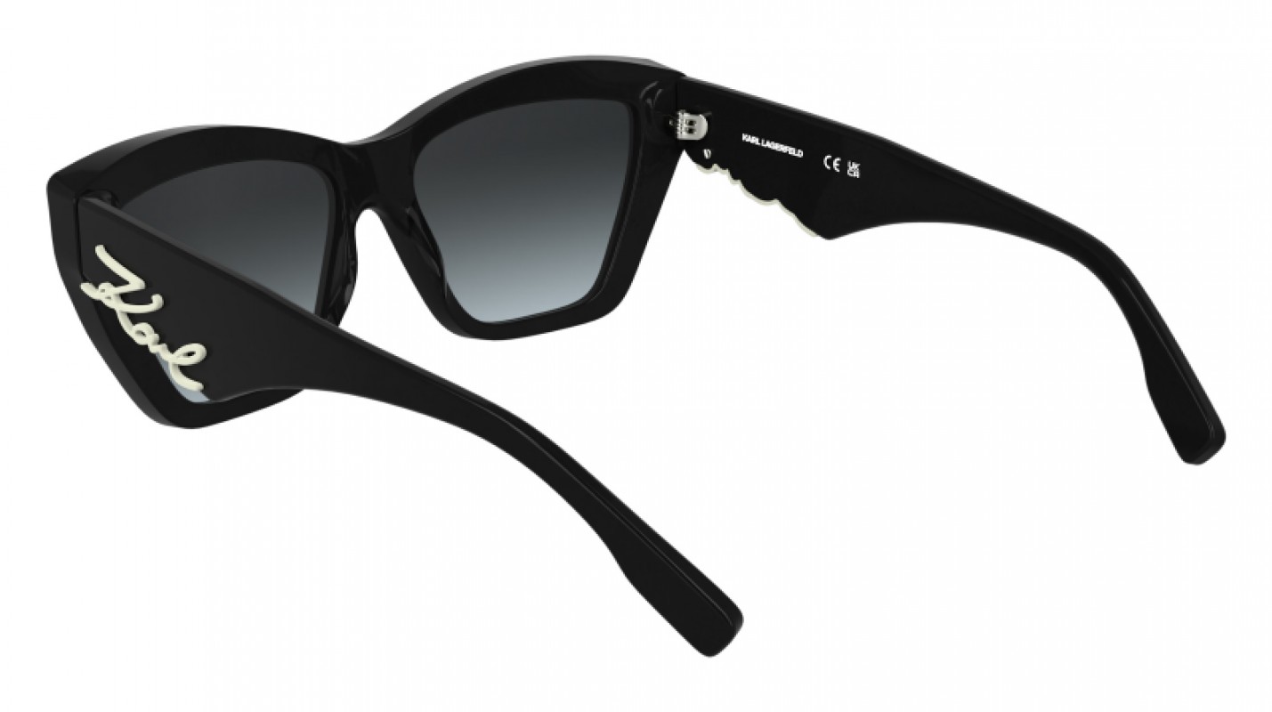 Karl Lagerfeld KL6179S 001
