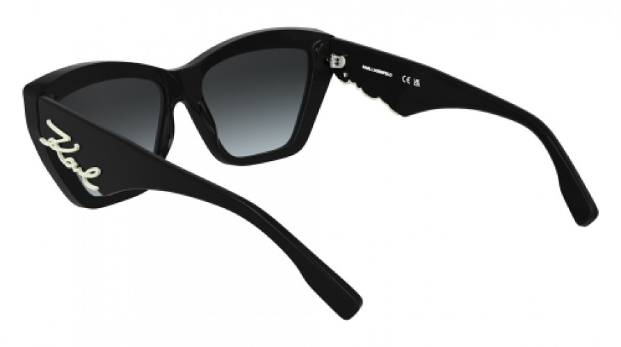 Karl Lagerfeld KL6179S 001