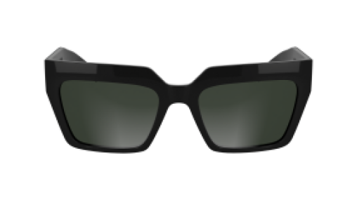 Karl Lagerfeld KL6181S 001