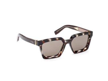 Ermenegildo Zegna EZ0214 20J