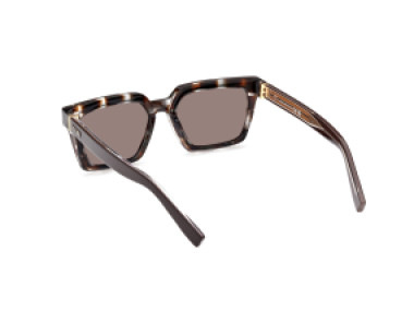 Ermenegildo Zegna EZ0214 20J