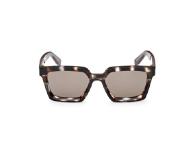 Ermenegildo Zegna EZ0214 20J