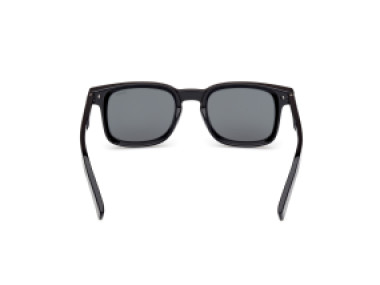 Ermenegildo Zegna EZ0230 01A