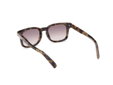 Ermenegildo Zegna EZ0230 52K
