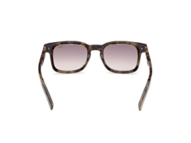 Ermenegildo Zegna EZ0230 52K