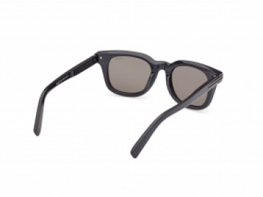Ermenegildo Zegna EZ0238 20A