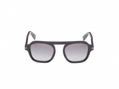 Ermenegildo Zegna EZ0241 20B