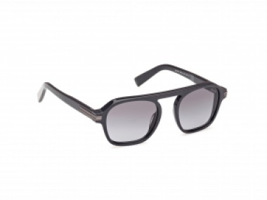 Ermenegildo Zegna EZ0241 20B