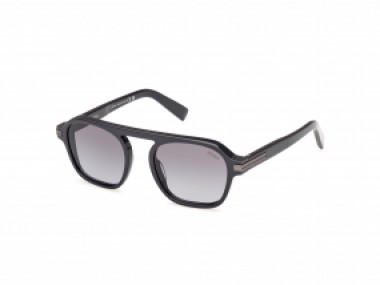 Ermenegildo Zegna EZ0241 20B