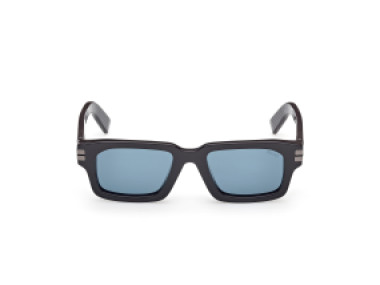 Ermenegildo Zegna EZ0255 48V