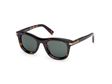 Ermenegildo Zegna EZ0269 52N