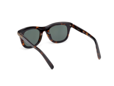 Ermenegildo Zegna EZ0269 52N