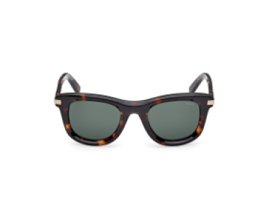 Ermenegildo Zegna EZ0269 52N