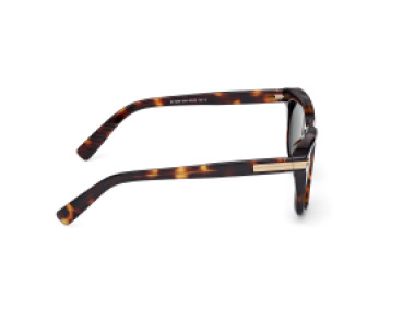 Ermenegildo Zegna EZ0269 52N
