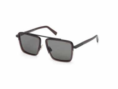 Ermenegildo Zegna EZ0272 48D