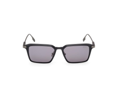 Ermenegildo Zegna EZ0273-H 20A