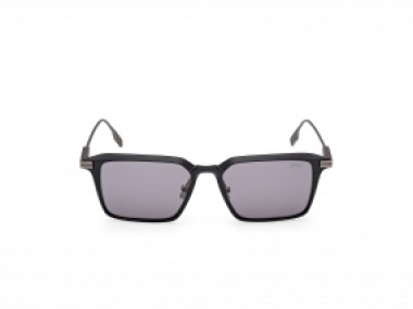 Ermenegildo Zegna EZ0273 H 20A