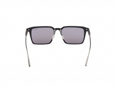 Ermenegildo Zegna EZ0273 H 20A