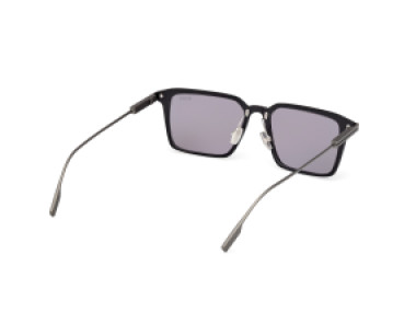Ermenegildo Zegna EZ0273-H 20A