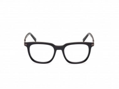 Ermenegildo Zegna EZ5273 001