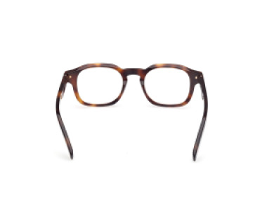 Ermenegildo Zegna EZ5293 052