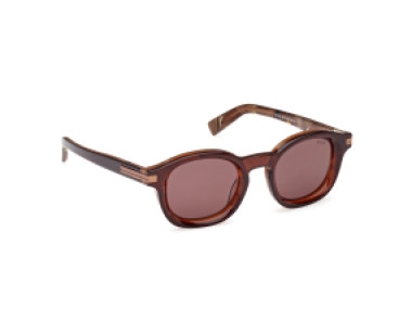 Ermenegildo Zegna EZ0229 50E