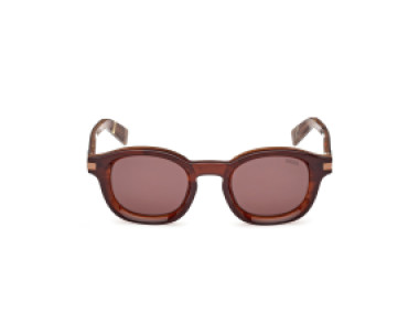 Ermenegildo Zegna EZ0229 50E