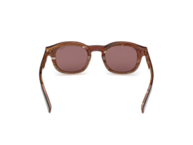 Ermenegildo Zegna EZ0229 50E