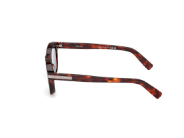 Ermenegildo Zegna EZ0229 54V