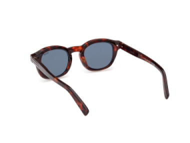 Ermenegildo Zegna EZ0229 54V
