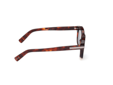 Ermenegildo Zegna EZ0229 54V